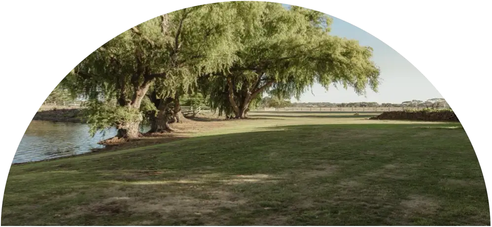 Scene of the wedding venue garden